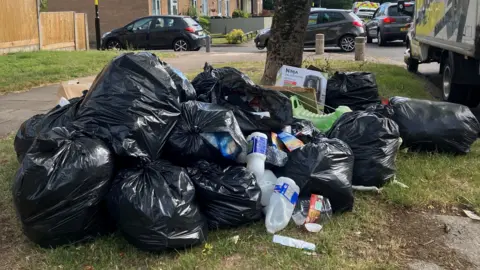 At least 10 black bin bags on the ground, with some items loose. A tree and cars are in the background.