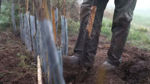 Getty Images A person pushing a shovel into the ground with their foot