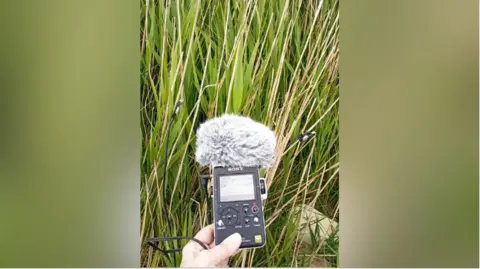 Louise K Wilson A hand holding a microphone against a field of tall grass.