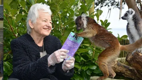 Drusillas Dame Jacqueline Wilson reads to lemurs at Drusillas