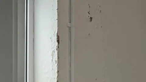 Callum Brunsdon A wall with peeling plaster in a hospital