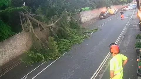 The New Crown Inn A huge branch hanging from an ancient tree completely blocks a pavement and part of a road. The tree itself sits the other side of a stone wall. Two men in hi-vis clothing, helmets and ear defenders are examining it. 