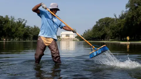 EPA-EFE/REX/Shutterstock a workers wading in dirty water in the reflecting pool, holding up a broom with algae on it, with Lincoln Memorial int he background 