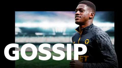 Wolves defender Nasser Djiga