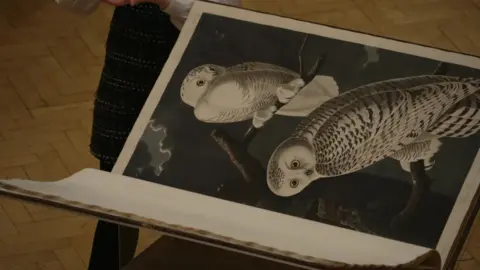 Birds of America out and open on a table. The image on the right-hand page is a full-sized illustration of two owls. 