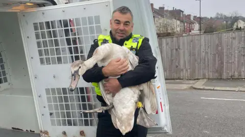 PCSO Peter Eley pictured with the swan in his arms, stood beside the open door of a police van.