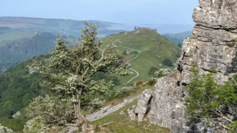 Rolling hills in the Welsh countryside - a tree and rocks are visible in the foreground with a long winding footpath up a hill in the background. Forests can be seen in the distance and the skies are blue and it is a sunny day.