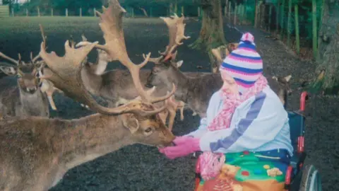 Family handout Angela Lloyd sits in her wheelchair and feeds several reindeer. She is wrapped up warm with a bright pink and purple bobble hat, pink gloves and scarf, and a multi-coloured blanket over her legs.