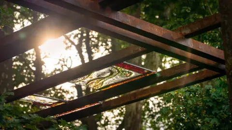 The Children's Society This image is a close-up view of a steel pergola. Sunlight streams through the framework from the left side, creating a warm glow, and dramatic contrast between light and shadow.