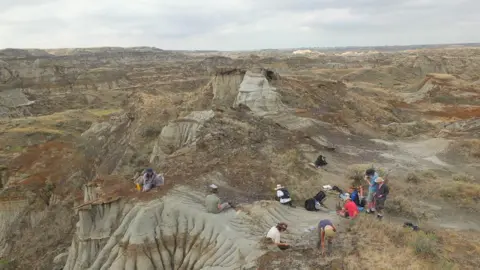 University of Reading An aerial shot shows researchers working where the fossil was found in Canada’s Dinosaur Provincial Park. 