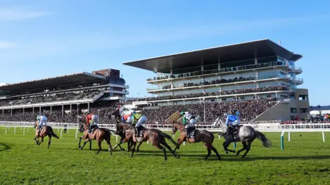 PA Media A group of horses head to the final jumps at Cheltenham Racecourse on a sunny, clear day with packed grandstands in the background