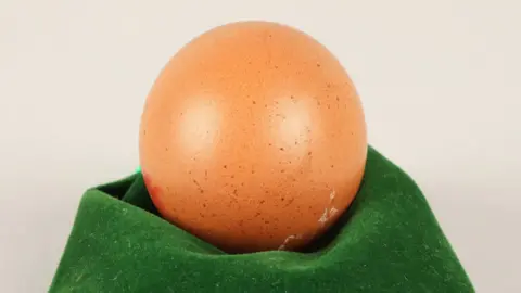 Thomson Roddick Callan Round-shaped chicken egg displayed on a green cloth.
