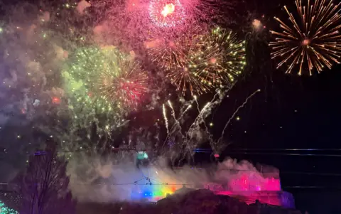 Petra Göpfert A night sky illuminated by fireworks, all green, yellow and pink colours