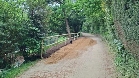 Infrastructure and Environment A picture of the footpath at Railway walk. 