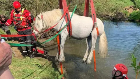 A picture of a white pony being winched out of the water while fire crews look on.