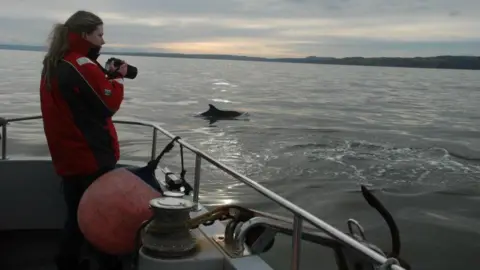 Emily Cunningham A woman standing on a boat holding a camera as she looks out at the water. A dolphin can be seen surfacing from the water in the background.