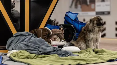 AFP via Getty Images A young woman sleeps on the floor of a metro station beside her dog during an overnight sheltering, in Kyiv, Ukraine on February 7, 2026. 