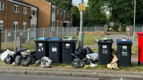 Five wheelie bins, with some overflowing, and a number of binbags by a road. Properties are in the background.