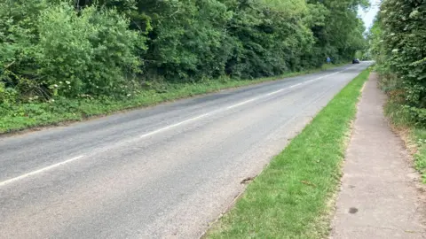 A road runs from the bottom left corner into the middle of the photgraph, and is flanked by a path on its right and surrounded by trees and bushes.