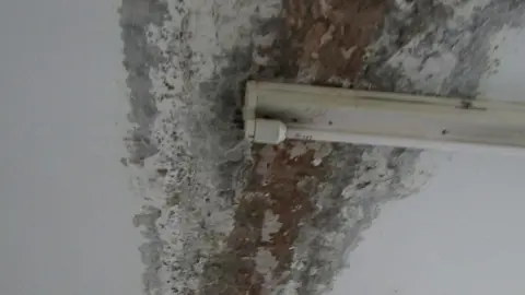 A water damaged ceiling, to the extent bare brick is exposed. There is a strip light on the ceiling.