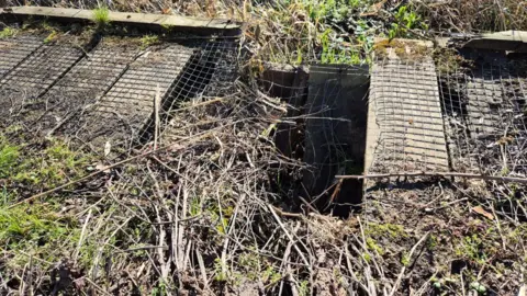 Carole Neesam A section of boardwalk is shown with a big hole in the centre