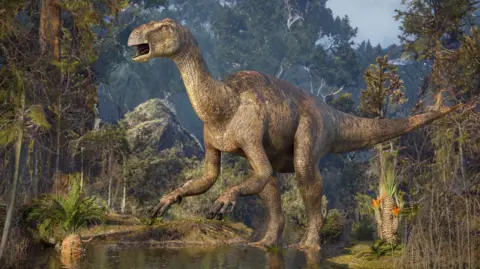 Getty Images/Science Photo Library Illustration of an Iguanodon. It stands in a marsh in a jungle setting.