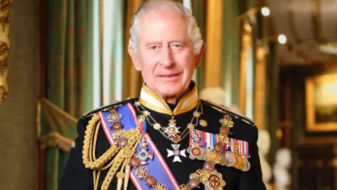 Hugo Burnand/Royal Household 2024/Cabinet Office Portrait of Charles - he is wearing a dark navy military dress tunic adorned with medals and honours