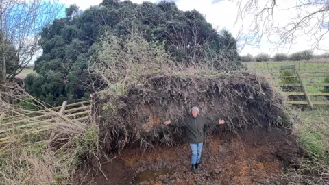 BBC A woman wearing a green jacket and blue jeans is standing under the roots of a large green tree. She has her arms outstretched. The tree has been uprooted.