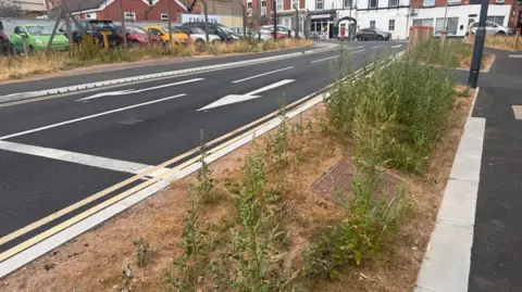 Weeds rising either side of a road