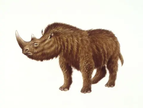 A graphic of a woolly rhino