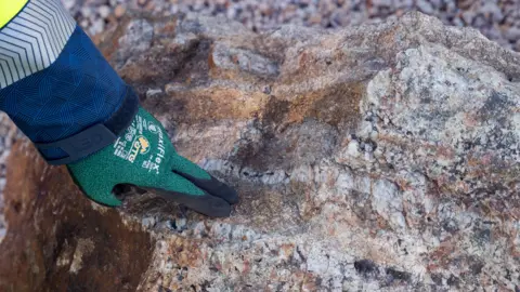Tungsten West A hand with a green glove touching a rock which is brown and white. 