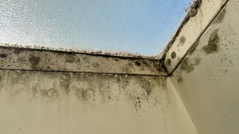 Colin Barton Patches of black mould can be seen around a skylight.