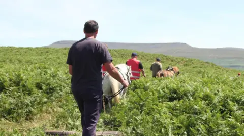 Roger Lees A line of people are walking ponies through green vegetation. Views of mountain range.