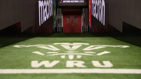 WRU logo on grass in front of doors