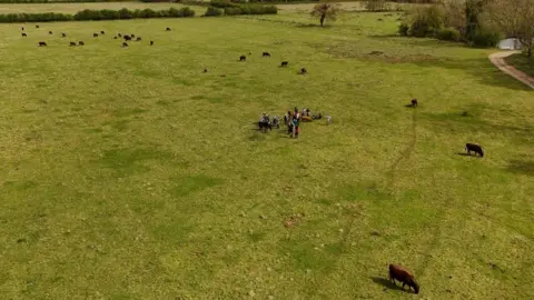 Shaun Whitmore/BBC Drone aerial picture at Wild Ken Hill nature reserve
