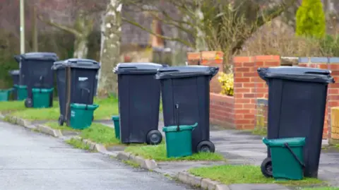 Dark grey wheelie bins and smaller green food waste caddies sit on grass verges along a suburban pavement. Red brick garden walls and bare winter trees line the street behind them. The bins are placed in pairs outside several houses, awaiting collection.