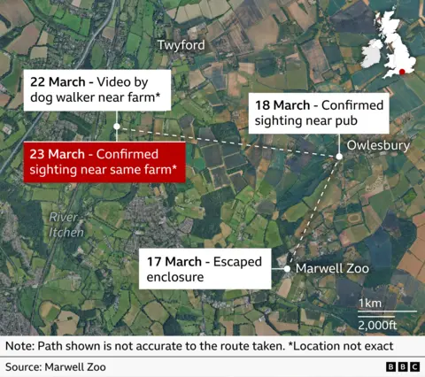 A map showing the areas near Marwell Zoo where Samba has been spotted.