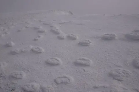 SAIS Lochaber Raised footprints on Aonach Mor