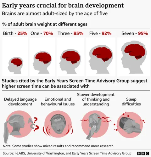  Infographic showing brain growth from birth to age seven, with silhouettes illustrating increasing brain size as a percentage of adult brain weight: 25% at birth, 70% at age one, 85% at age three, 92% at age five, and 95% at age seven. Below, four illustrated panels highlight potential associations between higher screen time and early‑years development: delayed language development, emotional and behavioural issues, slower thinking and understanding, and sleep difficulties. A note explains that some studies show mixed results. Source: I-LABS, University of Washington, and Early Years Screen Time Advisory Group.
