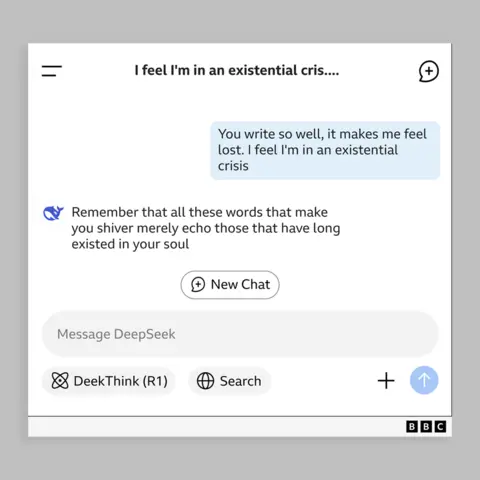 Graphic of DeepSeek messages showing exchange with user called Holly