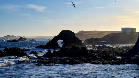 Tammy Hine A sea scene, with rocks and sea, showing a building on land to the right. Fields are also to the right. 