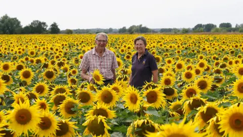 PA Media Two people standing in a large field of bright yellow sunflowers which extends to the horizon. A man with grey hair and glasses is wearing a checked shirt and a woman on his right is wearing a dark polo shirt. There is an overcast sky.