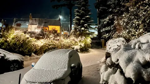 A car and street and trees covered in snow at night