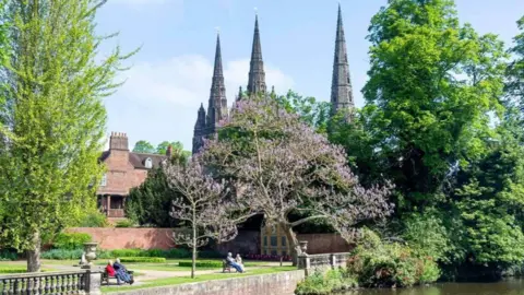 Alamy Lichfield’s foxglove tree