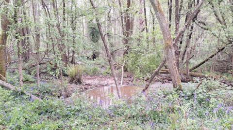A burst water main in a heavily wooded area of East Sussex