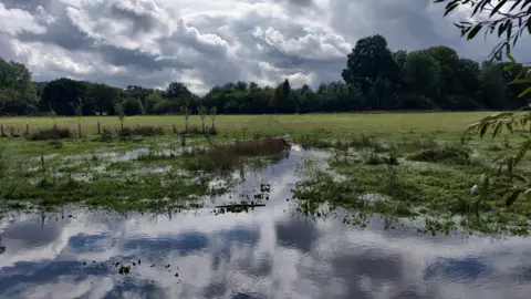 Georgeta A flooded field with half of the picture showing water and the other half the grassy field. The sky is filled with dark grey clouds. A tree line can be seen in the distance.