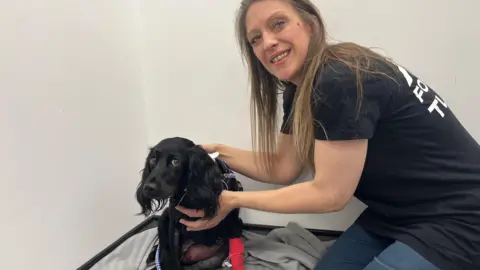 Meg the black cocker spaniel dog, on a blanket in what looks like a vet's surgery, with her owner Eleanor