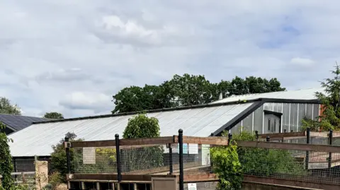 A large outbuilding which has a glass roof and walls. There is a wooden walkway which goes into the building. There are several trees surrounding the walkway.