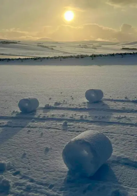 EJ Budge Snow rollers scattered across a sunlit snowy field with distant hills under a bright winter sky.
