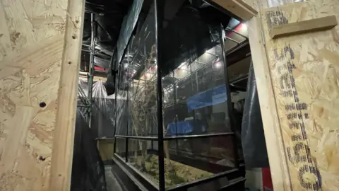 Shaun Whitmore/BBC One of the glass box displays that has stayed on site at the museum. It is pictured in a room protected by boards. The item inside the display cannot be seen due to the angle.